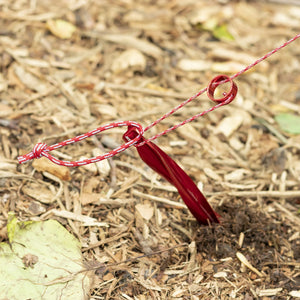MSR Tent Guyline Kit